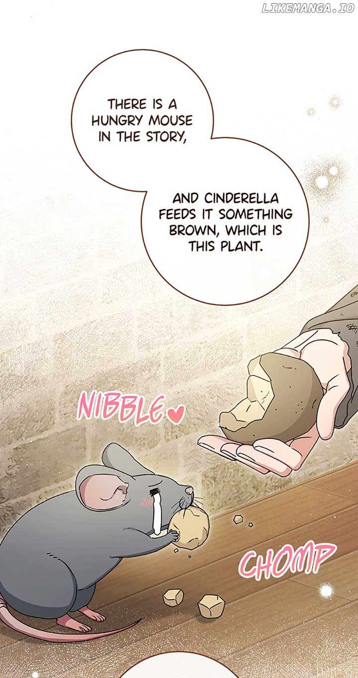 The Baby Concubine Wants to Live Quietly Chapter 45 page 5