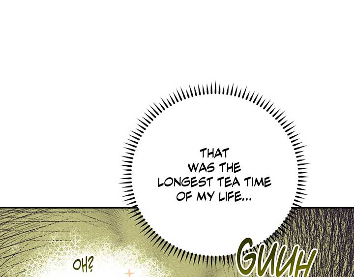The Marquis and the Iron Wall Lady Chapter 13 page 9