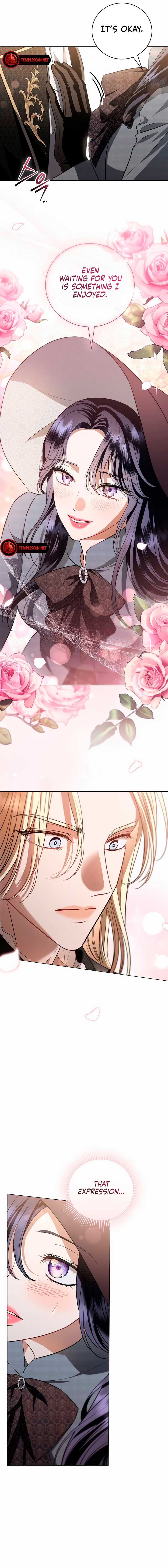 To My Husband’s Mistress Chapter 31 page 5